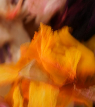 Image info