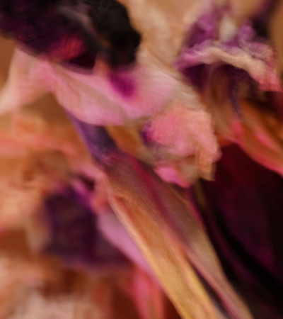Image info